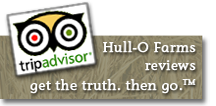 Hull-O Farms Trip Advisor reviews